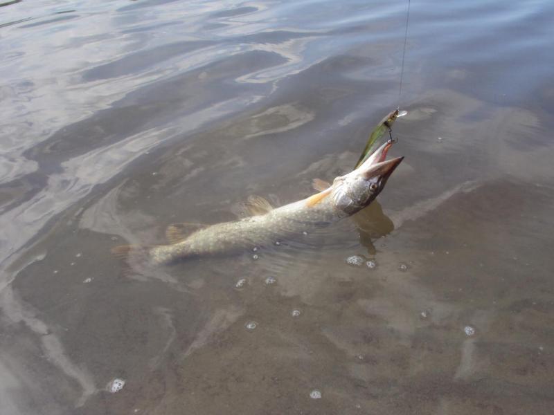 Прикрепленное изображение