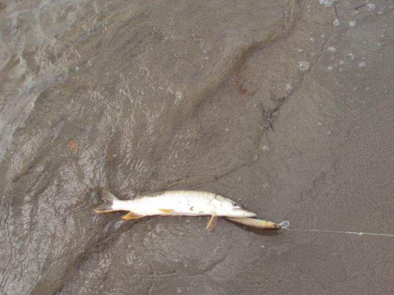 Прикрепленное изображение