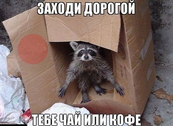 заходи.jpg