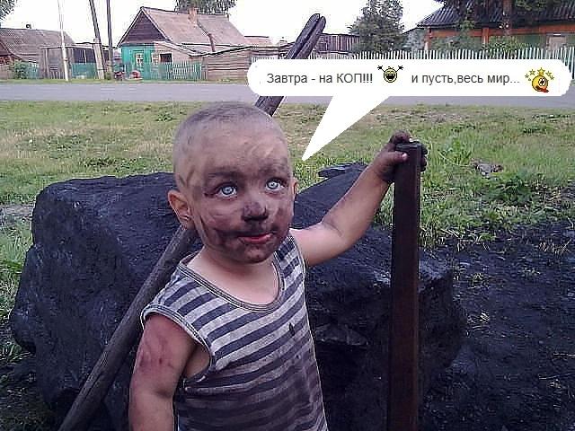 81.jpg