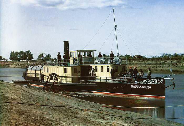 39.jpg