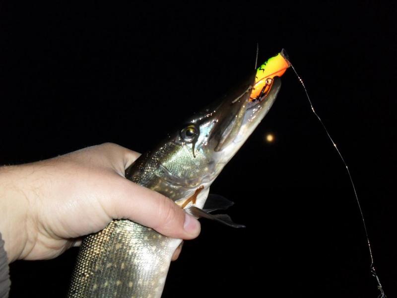 Скитер поп2.JPG