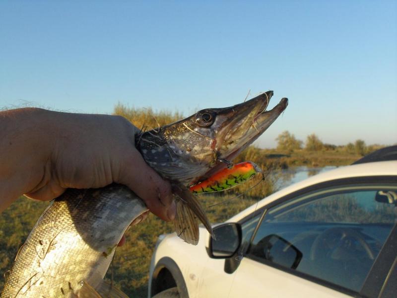 Скитер поп1.JPG