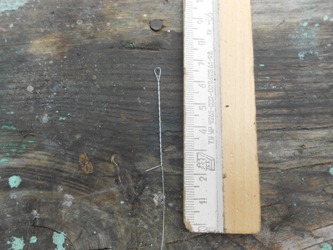 DSCN5102.JPG