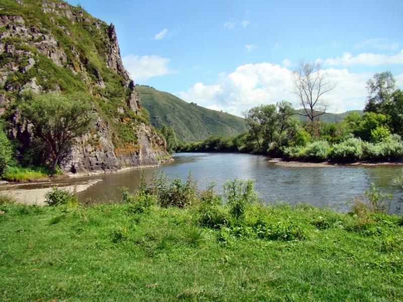 DSC01353.JPG