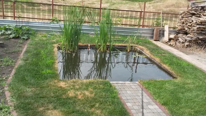 20140713_152254.jpg