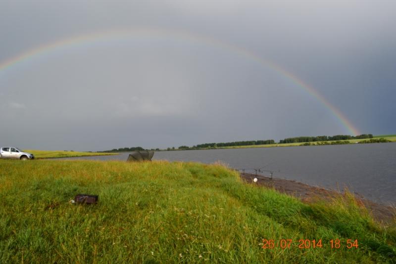 DSC_0530.JPG