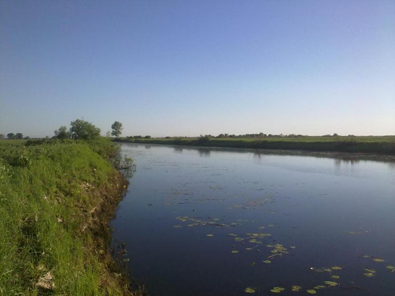 150720141284.jpg