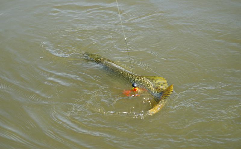 Прикрепленное изображение