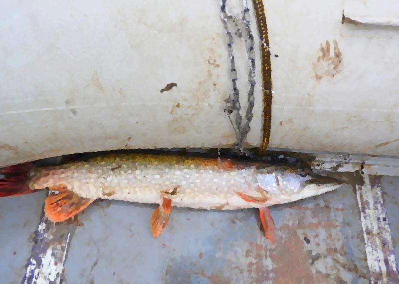 Прикрепленное изображение