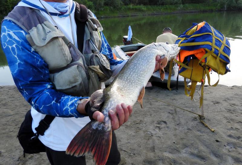 Прикрепленное изображение