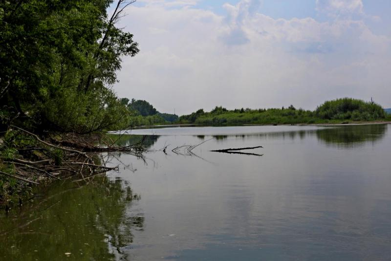 Прикрепленное изображение