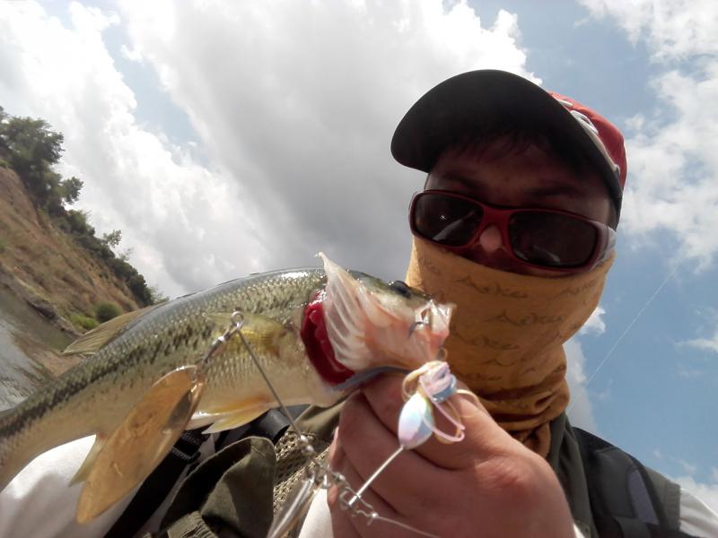 Прикрепленное изображение