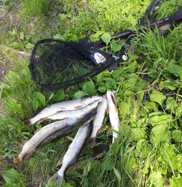 Прикрепленное изображение