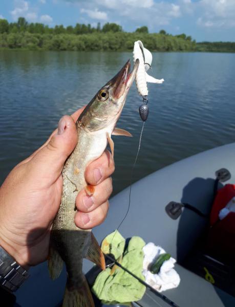 Прикрепленное изображение