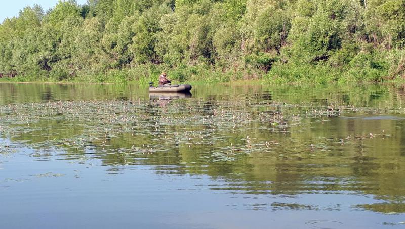 Прикрепленное изображение