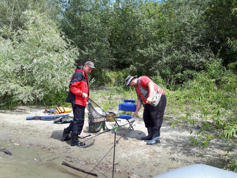 Прикрепленное изображение