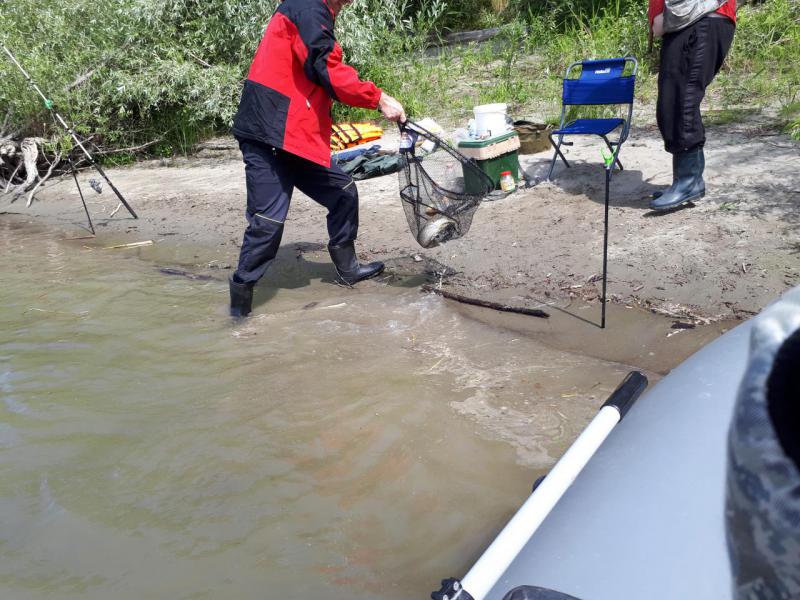 Прикрепленное изображение