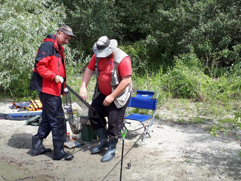 Прикрепленное изображение