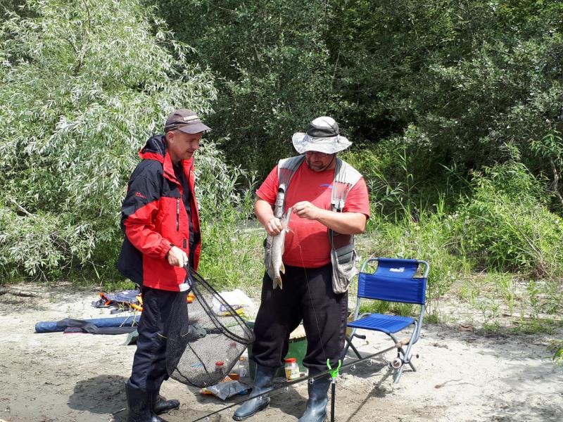 Прикрепленное изображение