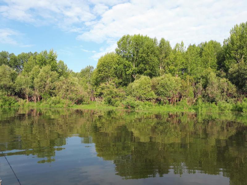 Прикрепленное изображение