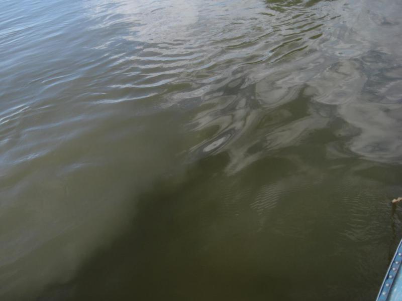 Прикрепленное изображение: IMG_6553.JPG