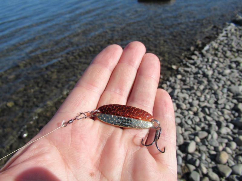 Прикрепленное изображение: IMG_0730.JPG