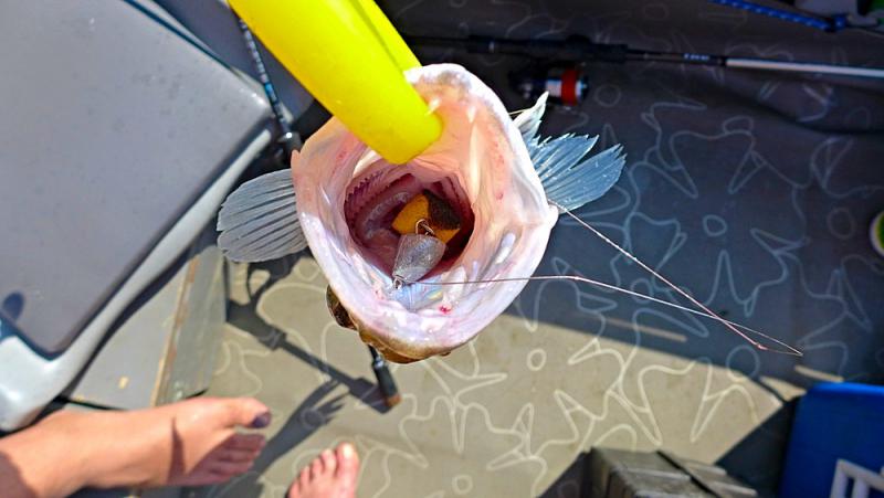 Прикрепленное изображение: photofacefun_com_1532926938.jpg