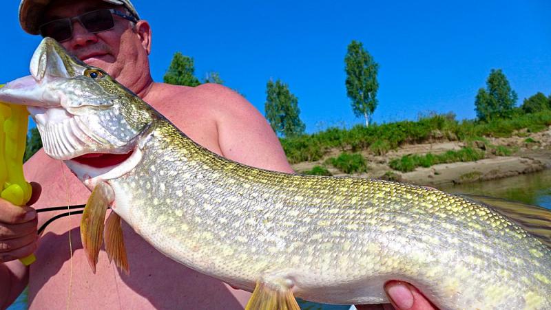 Прикрепленное изображение: photofacefun_com_1532926848.jpg