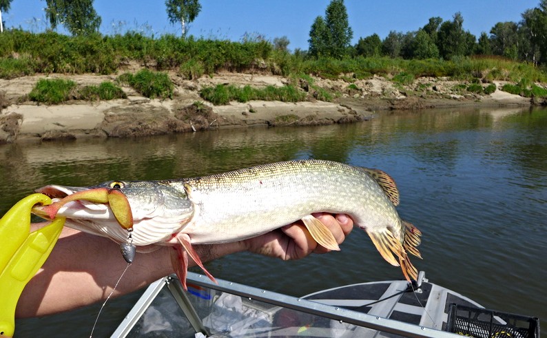 Прикрепленное изображение: photofacefun_com_1532926774.jpg