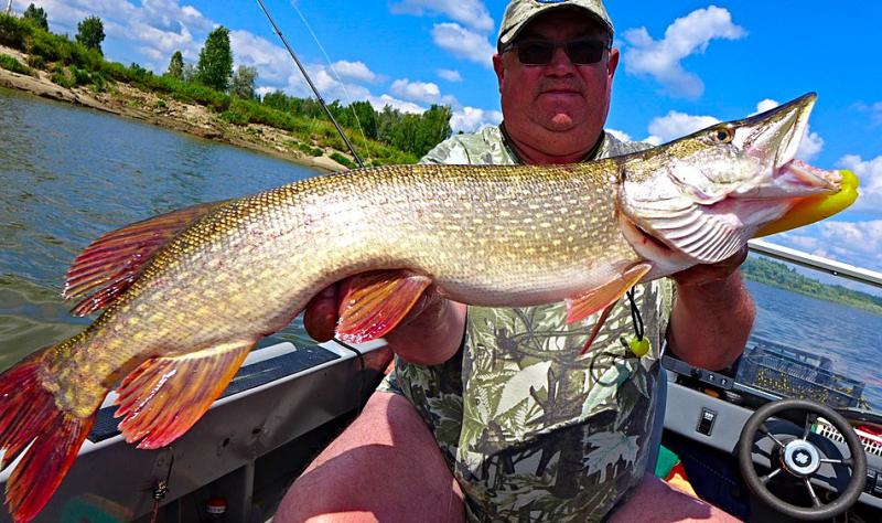 Прикрепленное изображение: photofacefun_com_1532928313.jpg