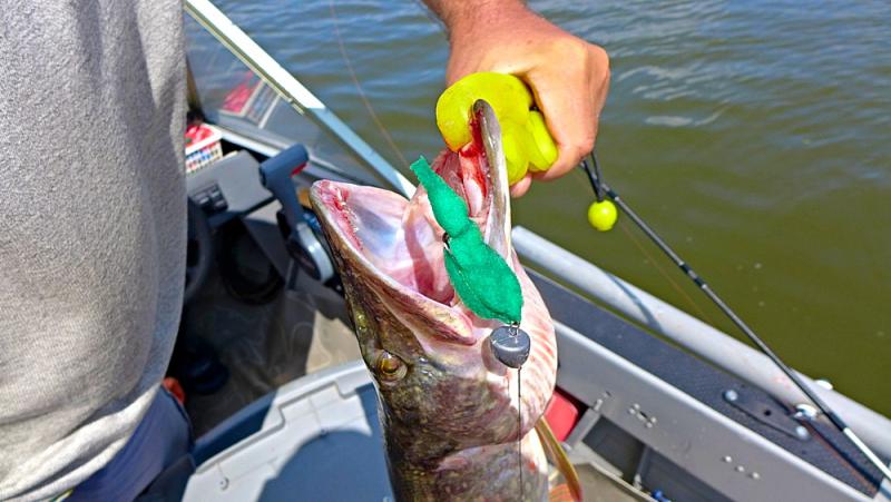 Прикрепленное изображение: photofacefun_com_1532928611.jpg