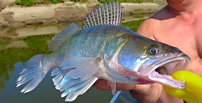 Прикрепленное изображение: photofacefun_com_1532927635.jpg