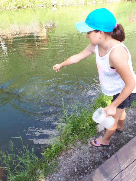 20180628_172653.jpg