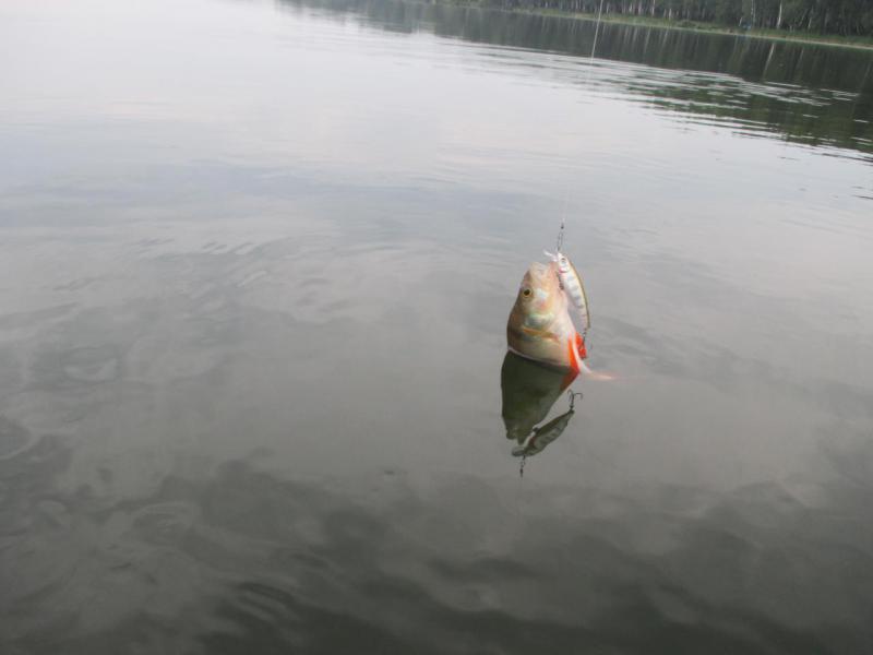 IMG_1305.JPG