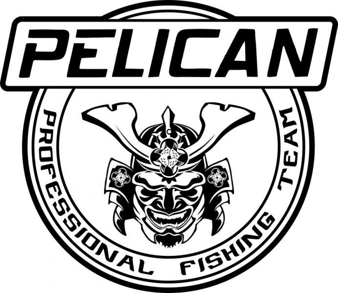 pelican2.jpg