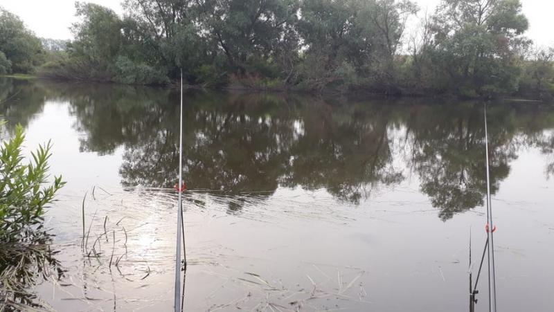 IMG-20180722-WA0005.jpg