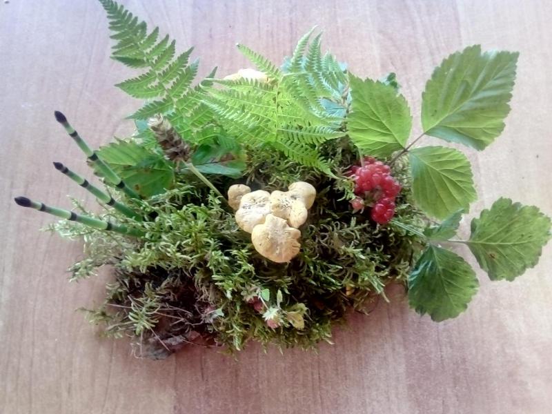 Прикрепленное изображение