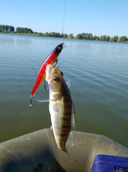 Прикрепленное изображение