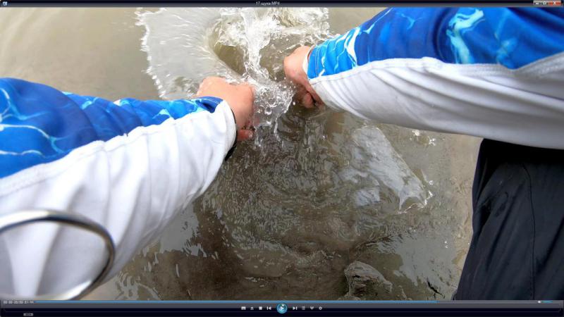 Прикрепленное изображение