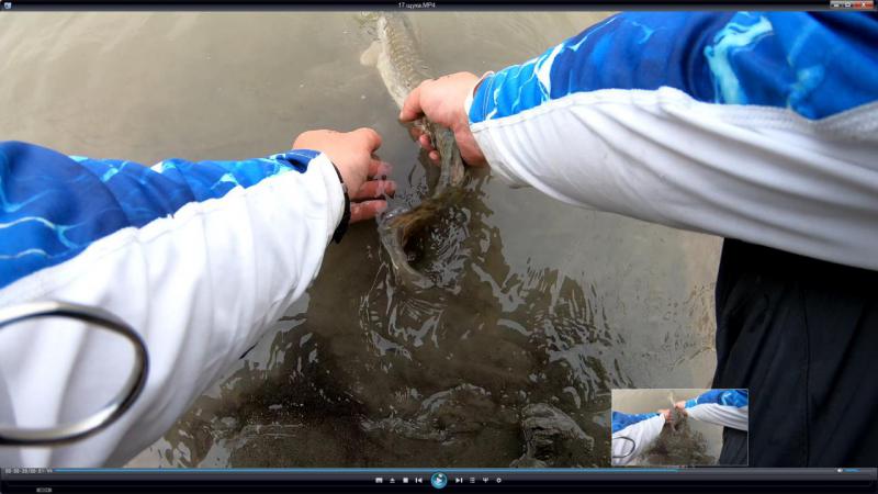 Прикрепленное изображение