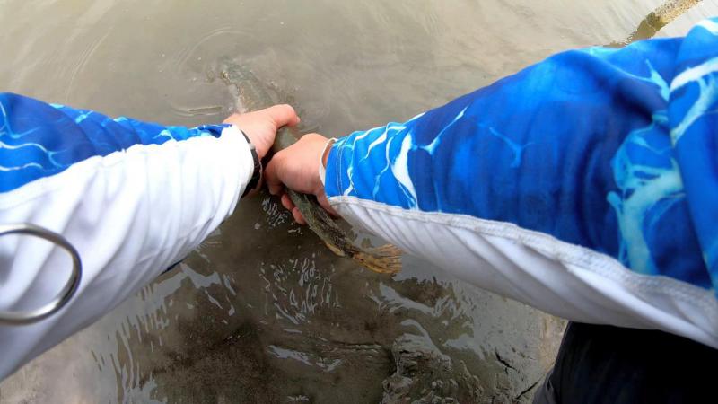 Прикрепленное изображение