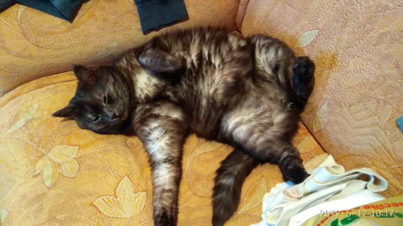Прикрепленное изображение
