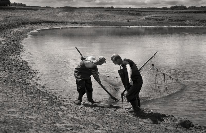 Прикрепленное изображение