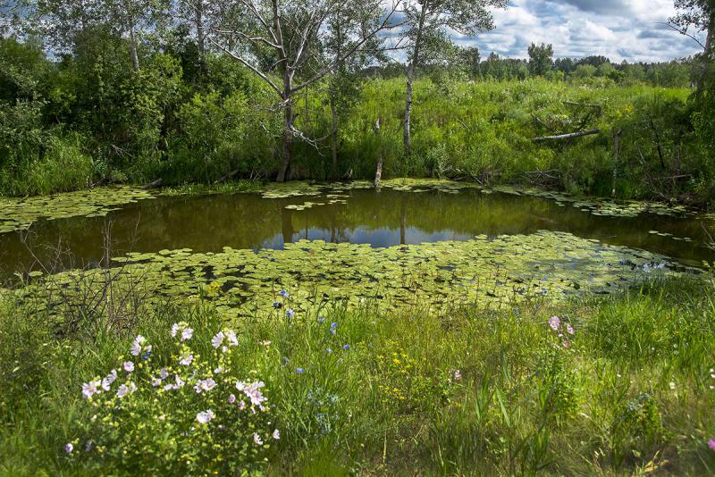 Прикрепленное изображение