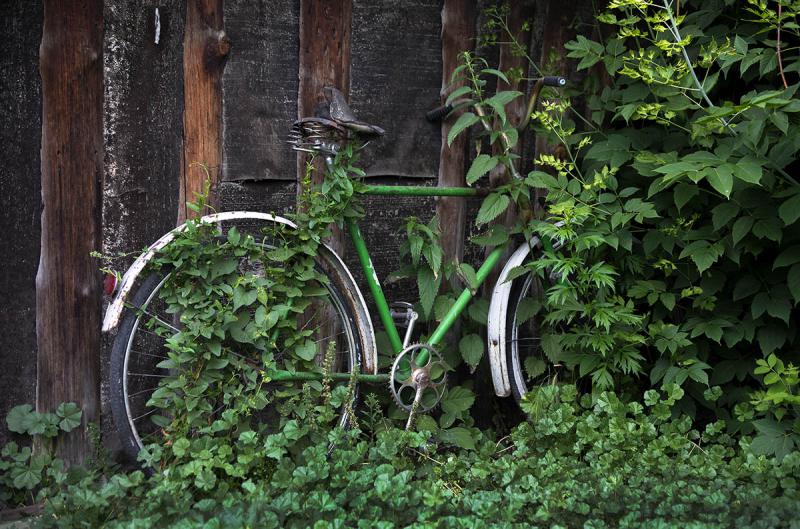 Прикрепленное изображение