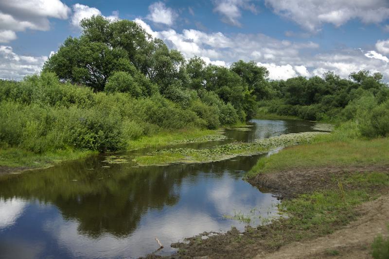 Прикрепленное изображение