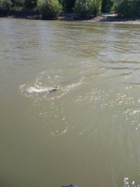 Прикрепленное изображение: 4.jpg