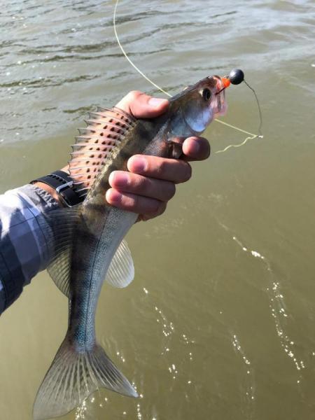 Прикрепленное изображение: 9.jpg