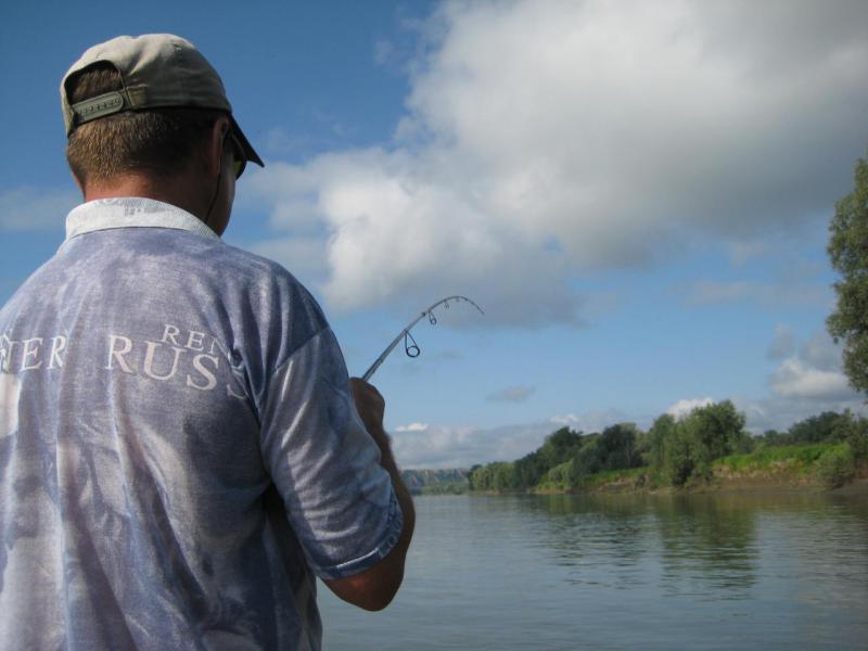 Прикрепленное изображение: IMG_7871.JPG